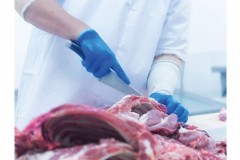 lampada-uv-haccp-professionale-zucche-roma