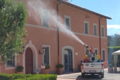 roma-disinfestazione-esterno